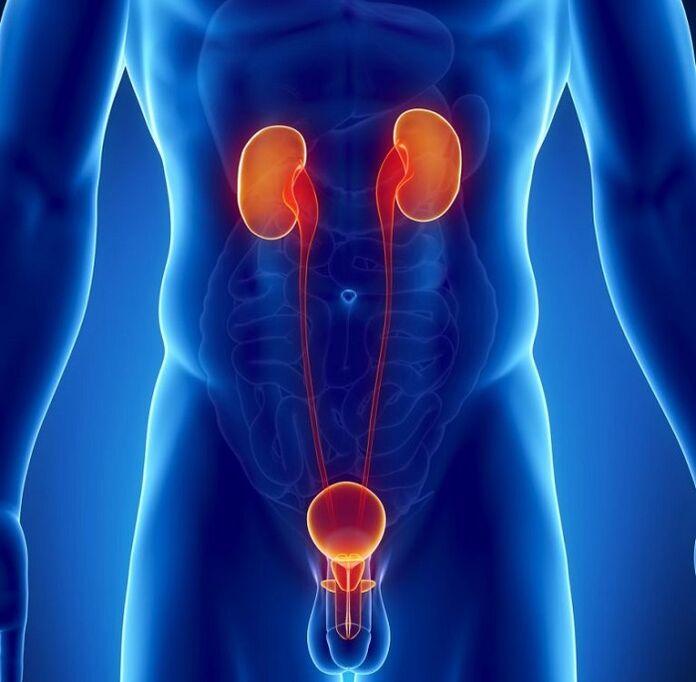 Welche chronischen Krankheiten können die männliche Potenz beeinträchtigen